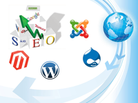 cms-seo